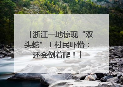 浙江一地惊现“双头蛇”！村民吓懵：还会倒着爬！