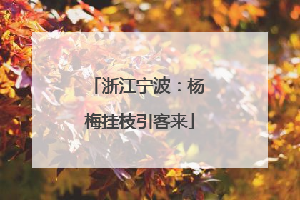 浙江宁波：杨梅挂枝引客来