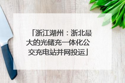 浙江湖州：浙北最大的光储充一体化公交充电站并网投运