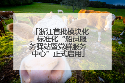 浙江首批模块化、标准化“船员服务驿站暨党群服务中心”正式启用