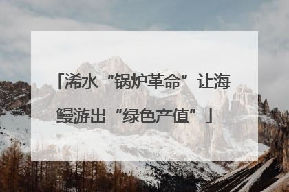 浠水“锅炉革命”让海鳗游出“绿色产值”