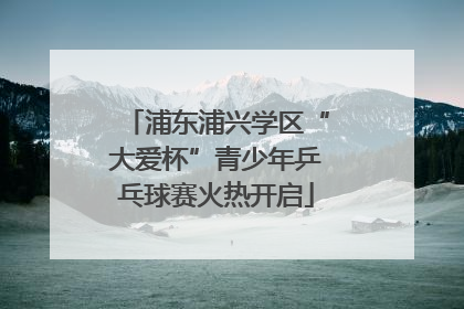 浦东浦兴学区“大爱杯”青少年乒乓球赛火热开启