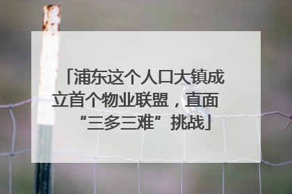 浦东这个人口大镇成立首个物业联盟，直面“三多三难”挑战