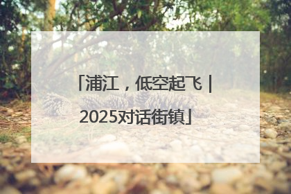 浦江，低空起飞｜2025对话街镇