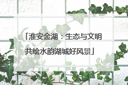 淮安金湖：生态与文明共绘水韵湖城好风景