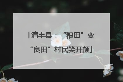 清丰县：“粮田”变“良田”村民笑开颜