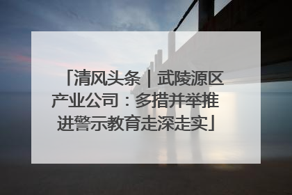 清风头条｜武陵源区产业公司：多措并举推进警示教育走深走实