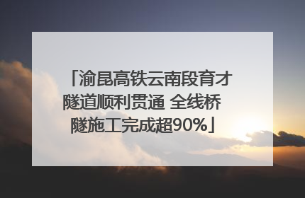 渝昆高铁云南段育才隧道顺利贯通 全线桥隧施工完成超90%