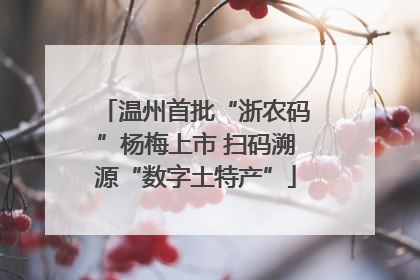 温州首批“浙农码”杨梅上市 扫码溯源“数字土特产”