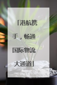 港航携手，畅通国际物流大通道