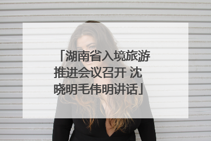 湖南省入境旅游推进会议召开 沈晓明毛伟明讲话