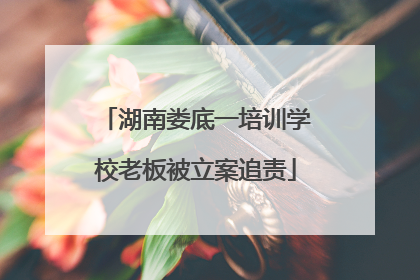 湖南娄底一培训学校老板被立案追责