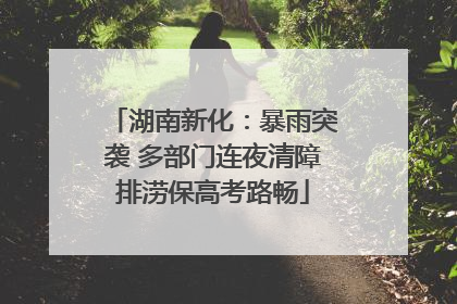湖南新化：暴雨突袭 多部门连夜清障排涝保高考路畅