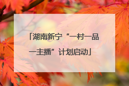 湖南新宁“一村一品一主播”计划启动