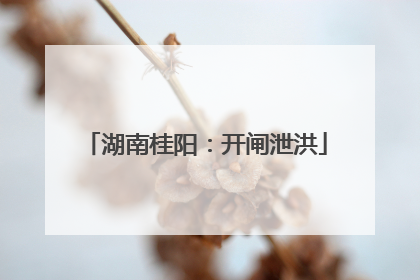 湖南桂阳：开闸泄洪
