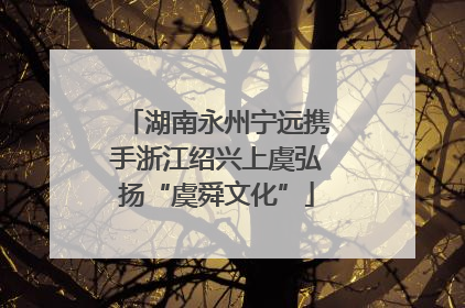 湖南永州宁远携手浙江绍兴上虞弘扬“虞舜文化”