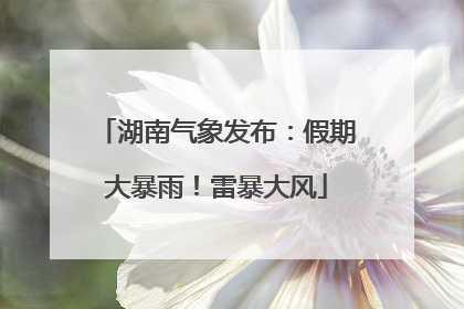 湖南气象发布：假期大暴雨！雷暴大风
