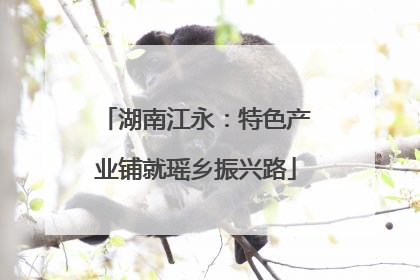 湖南江永：特色产业铺就瑶乡振兴路