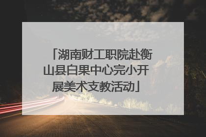 湖南财工职院赴衡山县白果中心完小开展美术支教活动