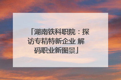 湖南铁科职院：探访专精特新企业 解码职业新图景