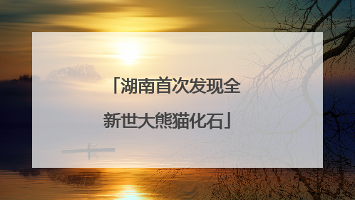湖南首次发现全新世大熊猫化石