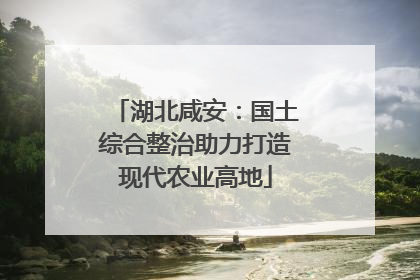 湖北咸安：国土综合整治助力打造现代农业高地