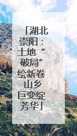 湖北崇阳：土地“破局”绘新卷 山乡巨变绽芳华
