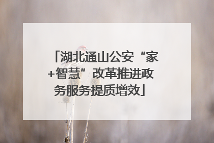 湖北通山公安“家+智慧”改革推进政务服务提质增效
