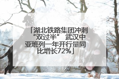 湖北铁路集团冲刺“双过半” 武汉中亚班列一年开行量同比增长72%