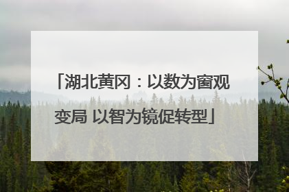 湖北黄冈：以数为窗观变局 以智为镜促转型