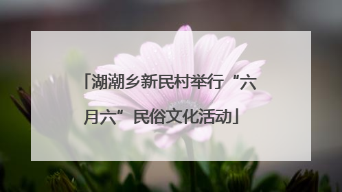 湖潮乡新民村举行“六月六”民俗文化活动