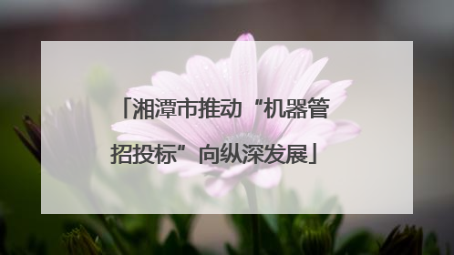 湘潭市推动“机器管招投标”向纵深发展