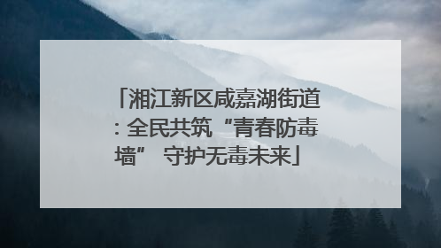 湘江新区咸嘉湖街道：全民共筑“青春防毒墙” 守护无毒未来