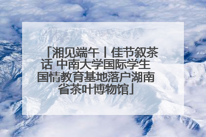 湘见端午丨佳节叙茶话 中南大学国际学生国情教育基地落户湖南省茶叶博物馆