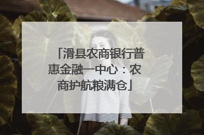 滑县农商银行普惠金融一中心：农商护航粮满仓
