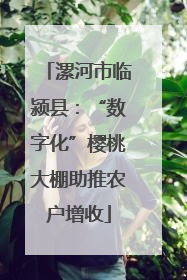 漯河市临颍县：“数字化”樱桃大棚助推农户增收