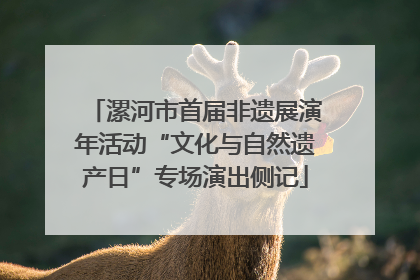 漯河市首届非遗展演年活动“文化与自然遗产日”专场演出侧记