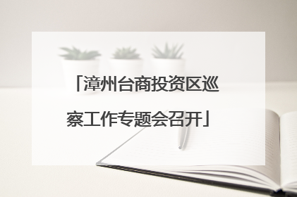 漳州台商投资区巡察工作专题会召开