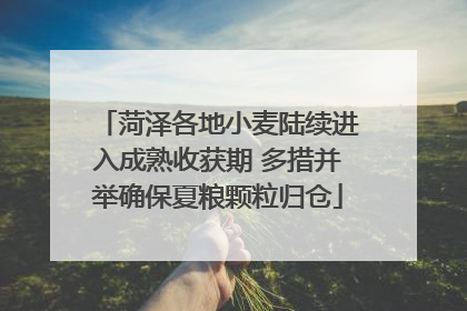 菏泽各地小麦陆续进入成熟收获期 多措并举确保夏粮颗粒归仓