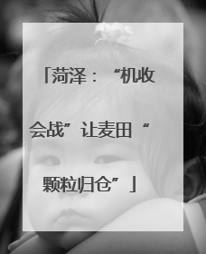 菏泽：“机收会战”让麦田“颗粒归仓”