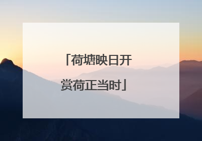荷塘映日开 赏荷正当时