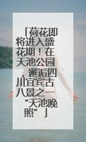 荷花即将进入盛花期！在天池公园，邂逅四川宜宾古八景之一“天池晚照”
