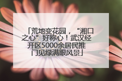 荒地变花园，“湘口之心”好称心！武汉经开区5000余居民推门见绿满眼风景