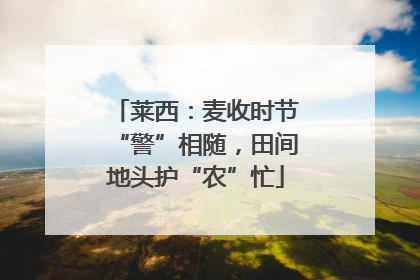 莱西：麦收时节“警”相随，田间地头护“农”忙