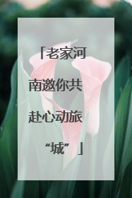 老家河南邀你共赴心动旅“城”