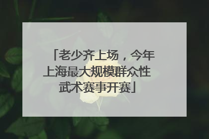老少齐上场，今年上海最大规模群众性武术赛事开赛