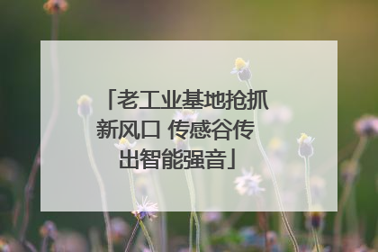 老工业基地抢抓新风口 传感谷传出智能强音