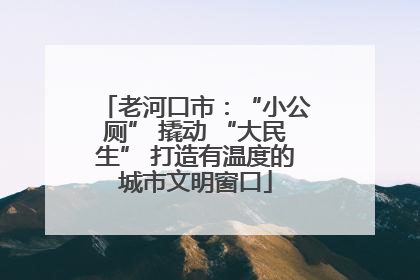 老河口市：“小公厕” 撬动 “大民生” 打造有温度的城市文明窗口