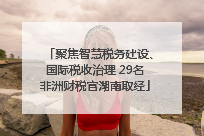 聚焦智慧税务建设、国际税收治理 29名非洲财税官湖南取经