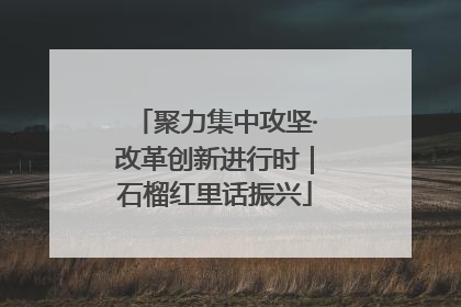 聚力集中攻坚·改革创新进行时｜石榴红里话振兴